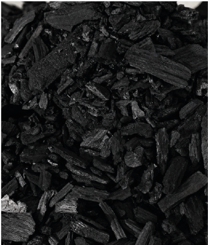 B3_Bloqueo de carbono con biocarbón-03